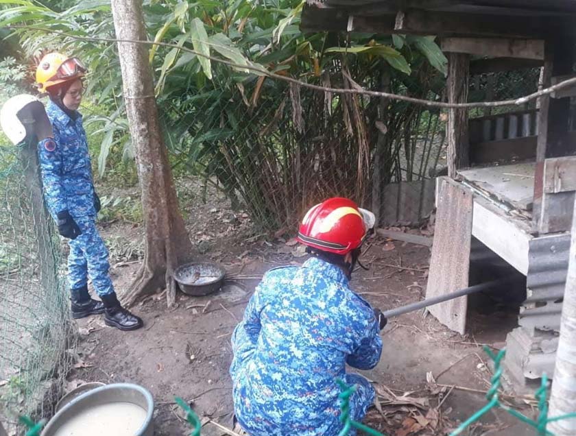 Ular sepanjang lima meter ditangkap anggota APM Padang Terap.