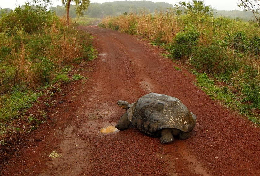  'Jasamu dikenang, wahai Diego!' - Reuters