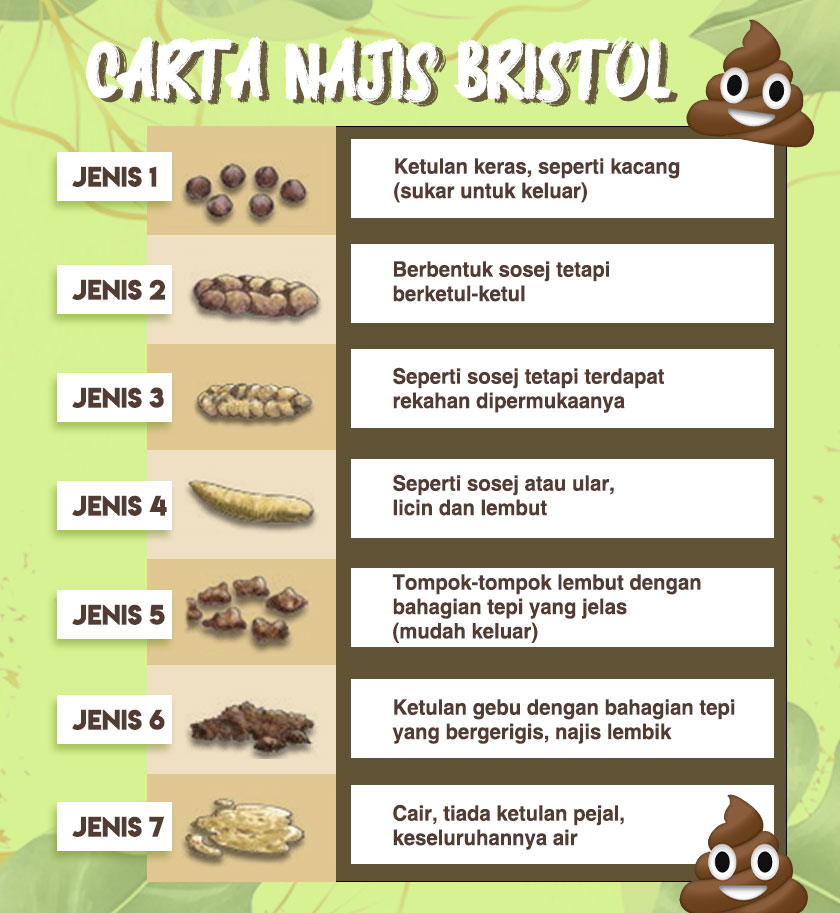 Carta Bristol menggariskan tujuh jenis najis individu.