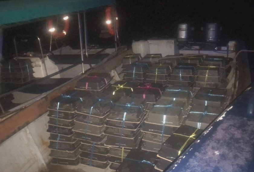 Polis Marin gagalkan cubaan seludup burung murai bernilai RM500,000