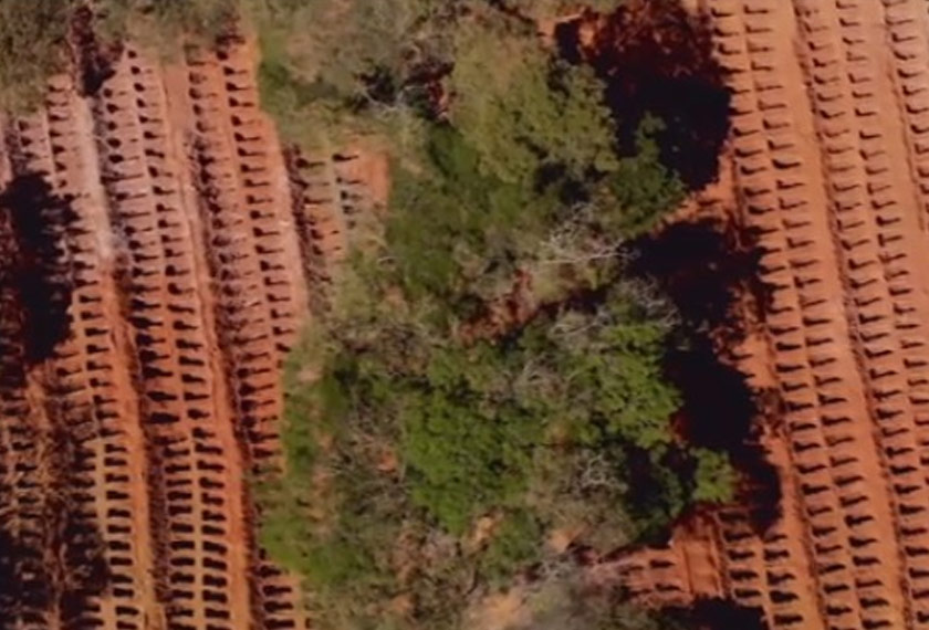 Lebih dari 13,000 kubur  digali di Tanah Perkuburan Vila Formosa ketika negara itu bersedia berdepan dengan lebih banyak kematian akibat COVID-19