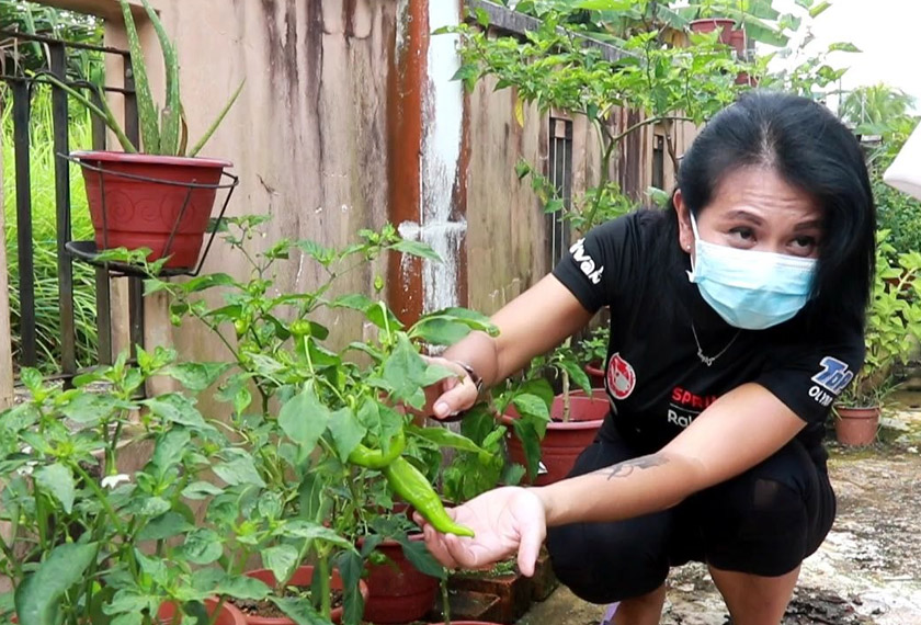 Minat tercetus setelah beliau berkunjung ke satu pameran agro di Sarawak satu ketika dahulu. -Gambar Astro AWANI