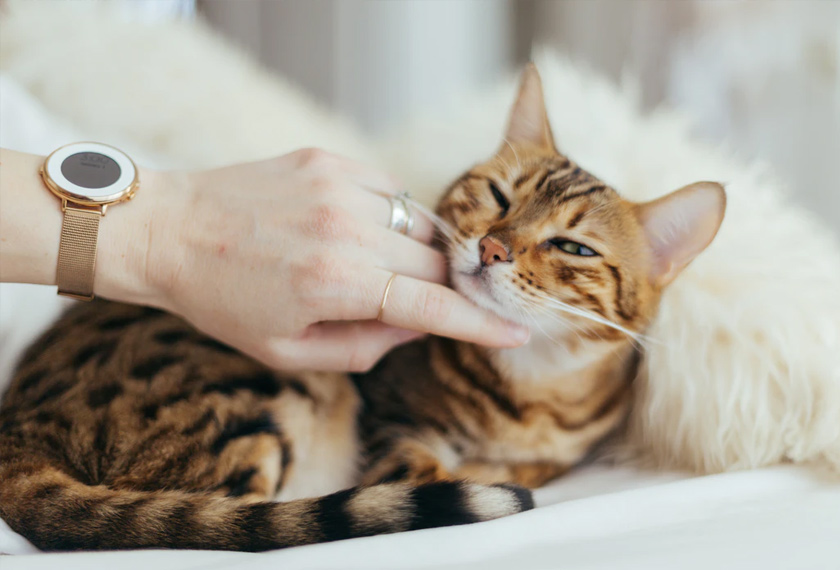 Senarai ini anda boleh letakkan dalam aplikasi ‘note’ dalam telefon pintar anda atau anda boleh lekatkan di papan tanda di dalam bilik atau di mana-mana yang mudah untuk anda lihat sebagai peringatan.