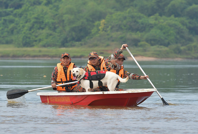 Pasukan bomba dan penyelamat berusaha mencari mayat tiga beradik mangsa lemas di Sungai Terengganu.