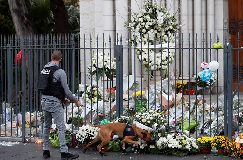 A police officer with a sniffer dog check flowers in front of Notre Dame basilica, before a mass to pay tribute to the victims of a deadly knife attack in Nice, France, November 1, 2020. - REUTERS/Eric Gaillard