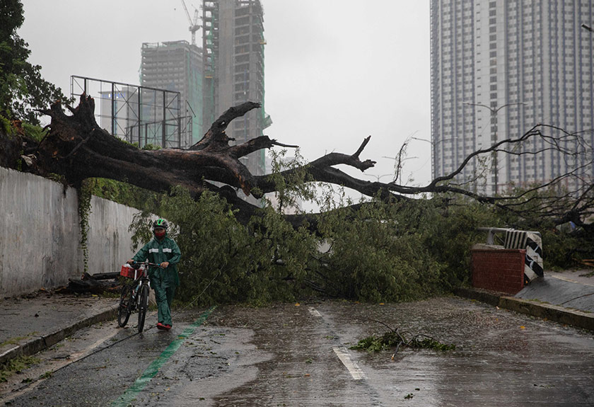 A man walks his bike past a fallen tree following Typhoon Vamco, at a road in Quezon City, Metro Manila, Philippines, November 12, 2020. - REUTERS/Eloisa Lopez