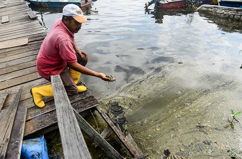Nelayan mendakwa, fenomena berkenaan turut menyebabkan hasil tangkapan mereka berkurangan.