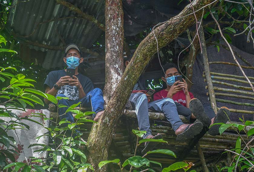  Mereka berdua terpaksa mendaki bukit dan memanjat pokok bagi mendapatkan akses Internet.