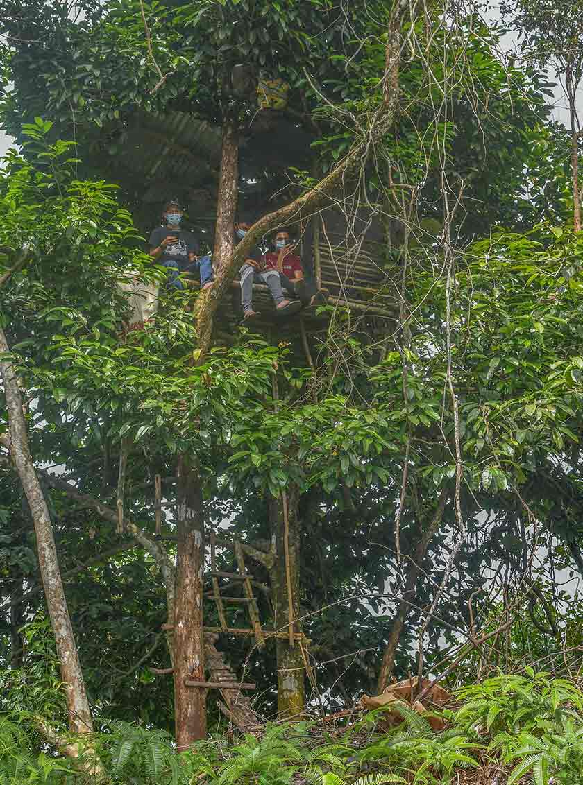  Mereka berdua terpaksa mendaki bukit dan memanjat pokok bagi mendapatkan akses Internet.