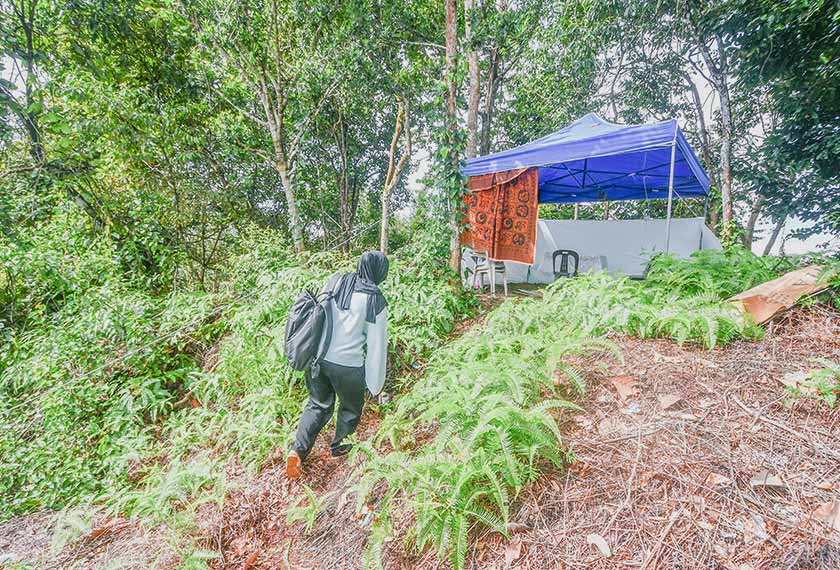  Mereka berdua terpaksa mendaki bukit dan memanjat pokok bagi mendapatkan akses Internet.