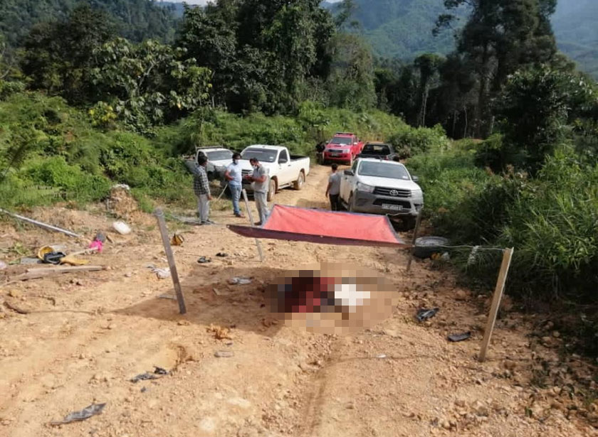 Kejadian berlaku dalam kawasan Hutan Simpan Lumadan. - Foto PDRM