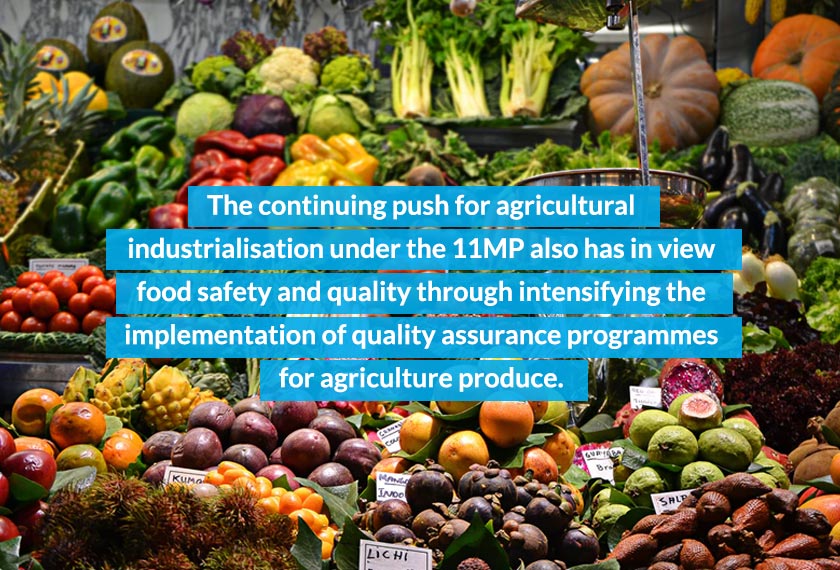 EMIR Research’s Q3 2020 Focus Group Discussion (FGD) findings has highlighted concerns over food safety, security and sovereignty as major themes or issues. AWANIpic