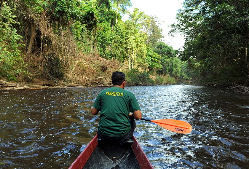 Taman Negara Pahang, Kuala Tahan. - Bernama