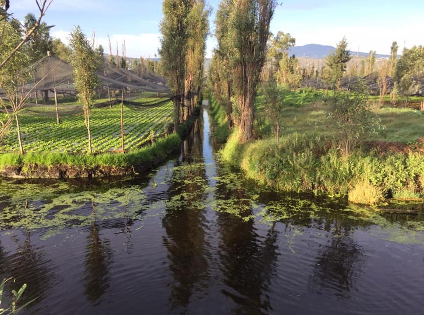 Kawasan tanah bencah Xochimilco sudah lama menjadi tarikan pelancongan di Mexico. - Facebook / chinampascdmx
