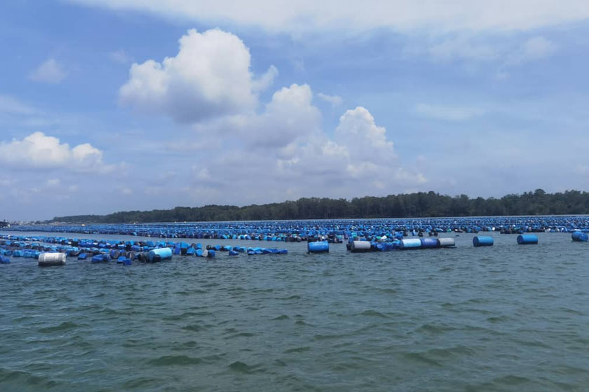 Foto terkini di Perairan Kuala Masai–Teluk Jawa yang menunjukkan keadaan terkawal. Foto ihsan Pejabat Perikanan Johor