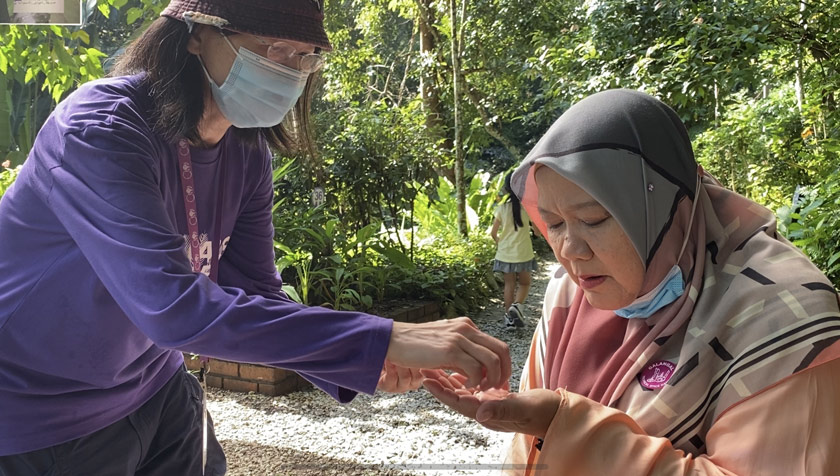 Anda boleh memilih untuk mengupah pemandu pelancong untuk memberi penerangan dan menceritakan berkenaan tumbuh-tumbuhan yang terdapat di taman ini. 