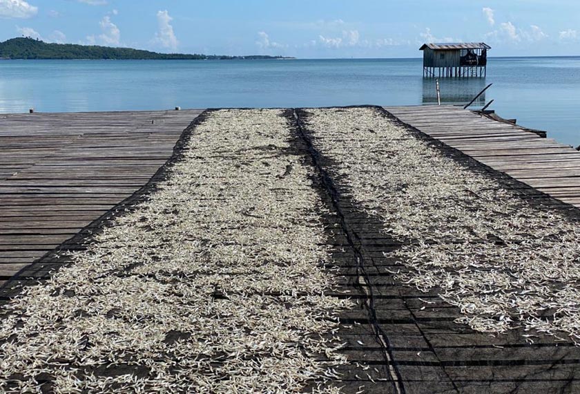 Bilis yang ditangkap akan dijemur sebelum dibungkus dan dijual kepada pemborong. - Foto Astro AWANI.