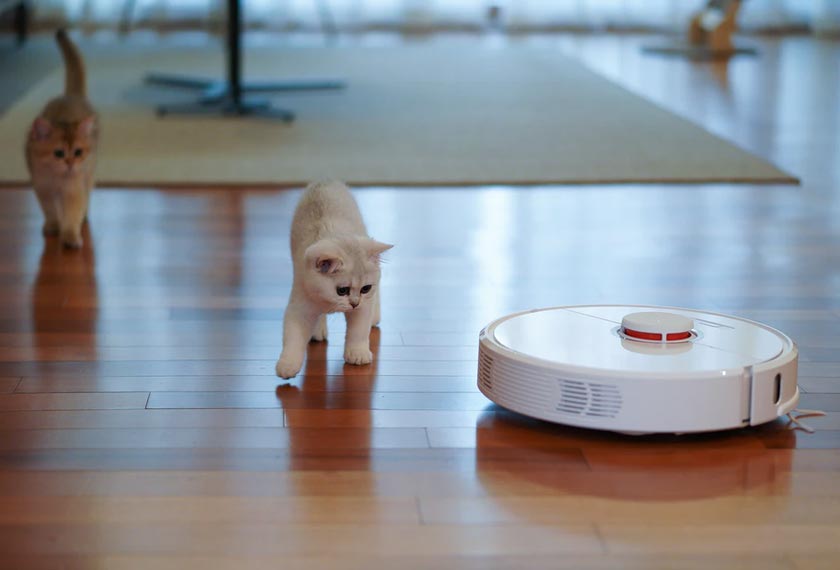 Dahulukan keperluan, barulah kehendak.