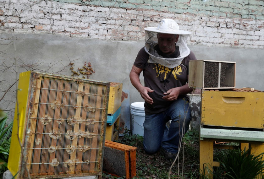 Cote menunjukkan antara kotak sarang lebah yang dibekalkannya kepada pembeli berminat. - Reuters