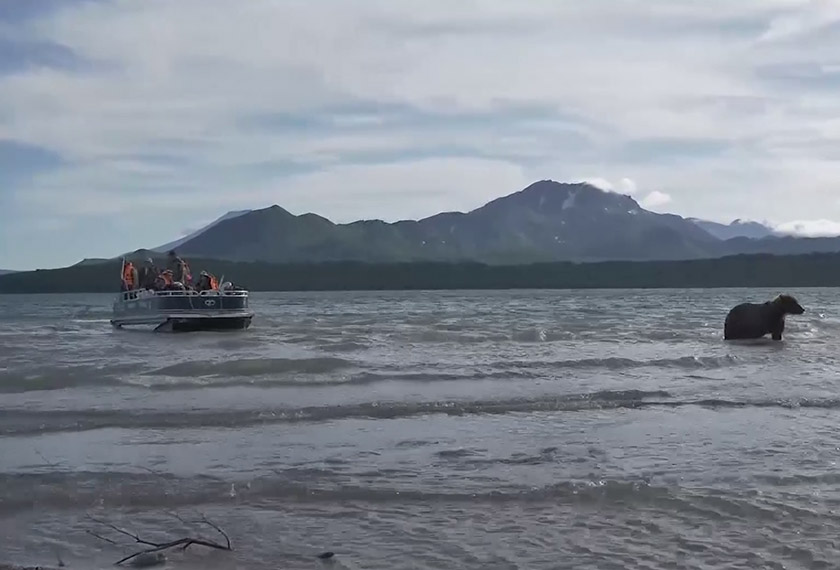 Helikopter dilaporkan terjunam ke dalam tasik di hutan simpan Kronotsky. - Foto AP