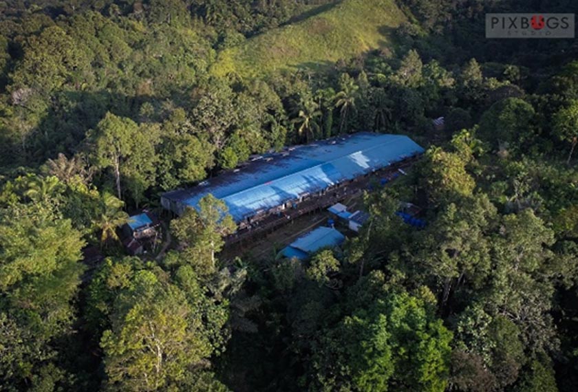 Rumah Manggat dikelilingi dengan hutan sekunder yang subur menjadikannya sangat ideal juga untuk tempat tinggal orang utan. - Pixbugs Studio / WWF-Malaysia