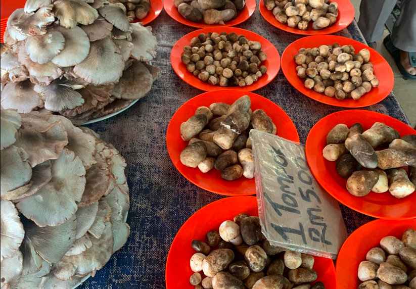 Longgokan cendawan sawit yang dijual oleh Sadiah - Gambar Astro AWANI