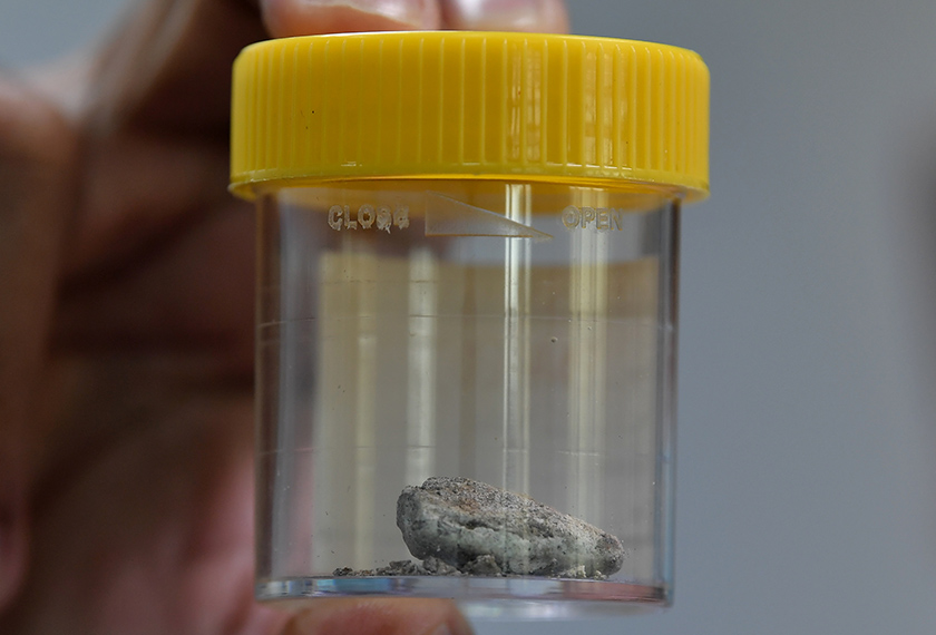 Hasrizal menunjukkan sampel ketulan ambergris atau muntah ikan paus tulen dari Scotland. --fotoBERNAMA