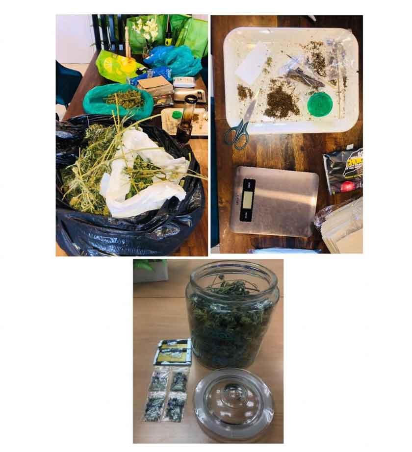 Polis merampas bunga ganja seberat 4.555kg; daun-daun kering disyaki daun ganja seberat 0.72 kg; tujuh biji benih ganja seberat 0.67 gram selain lapan batang pokok ganja. - Foto Facebook Polis KL