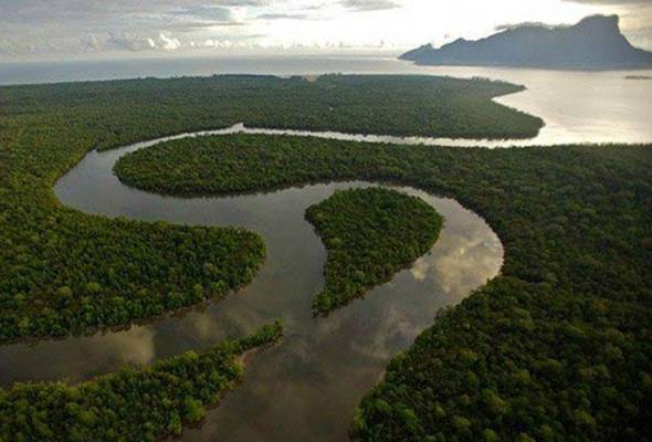 Tapak Ramsar Malaysia daftar tujuh kawasan sebagai Tapak Ramsar | Awani