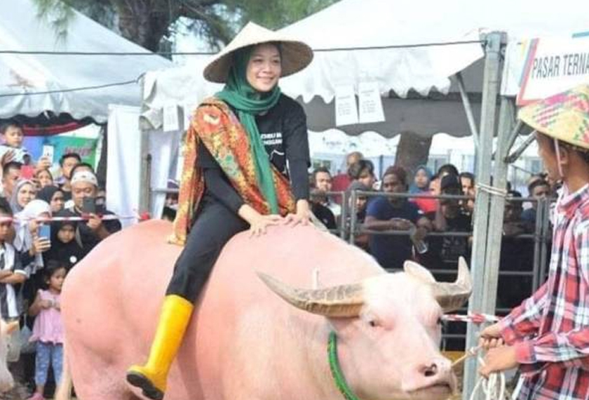 Awang juga dibawa ke ekspo pertanian kerana keunikannya. - Foto Sinar Harian