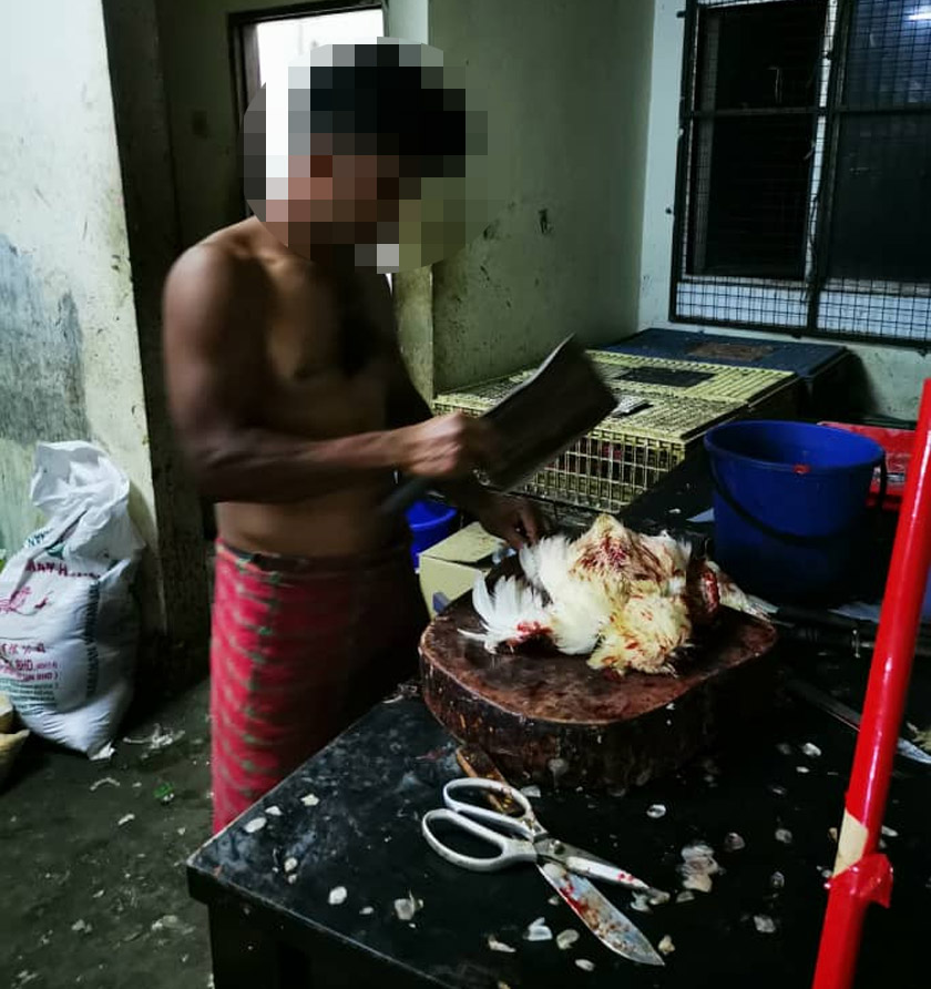 Semasa serbuan, kesemua warga asing yang berumur antara 22 hingga 35 tahun itu sedang menjalankan tugas masing-masing. - Foto Jabatan Imigresen Malaysia
