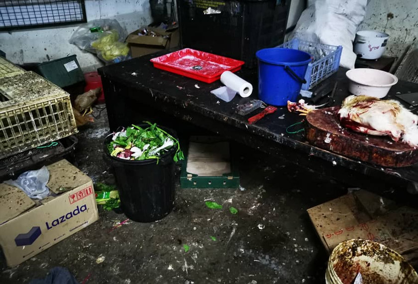 Keadaan di kedai runcit itu terlalu kotor malah turut dijadikan tempat dijadikan penyembelihan ayam dan penyimpanan ayam hidup sebelum disembelih. - Foto Jabatan Imigresen Malaysia