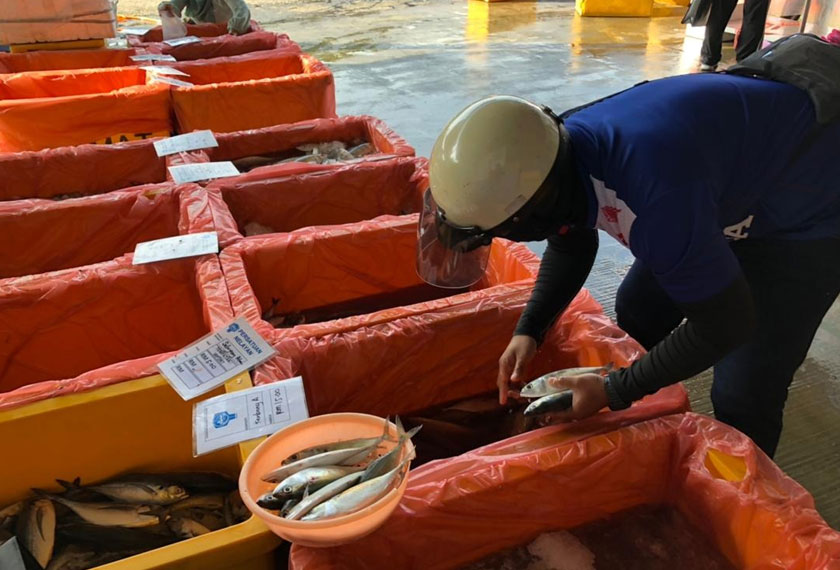 Seorang runner sedang memilih ikan yang dipesan oleh pelanggan untuk dihantar terus ke rumah.- Gambar Astro AWANI / Fauzi Suhaimi