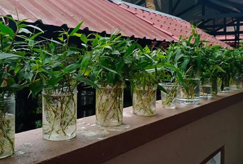 Foto: Facebook Nur Izzah Mahmud