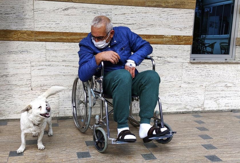 Kegembiraan jelas terlihat pada aksi Boncuk apabila tuannya akhirnya dibenarkan pulang selepas menerima rawatan. - AP
