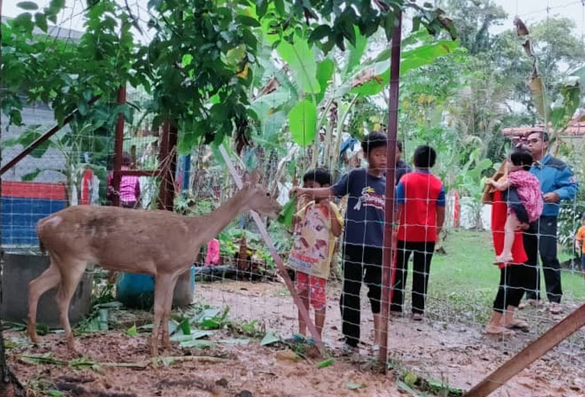 Projek komuniti ini diadakan untuk memupuk kesedaran dan juga sabagai satu bahan tarikan kepada pengunjung ke balai bomba. - JBPM Jeli