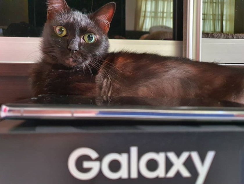 S21 Ultra 5G: Only exclusively available in Phantom Silver or Phantom Black