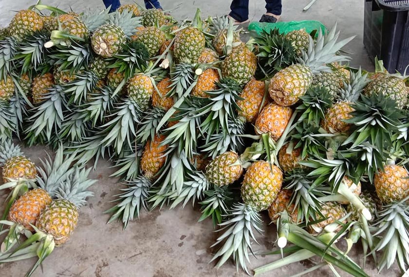 Foto: Facebook Wan Lokman Wan Haron