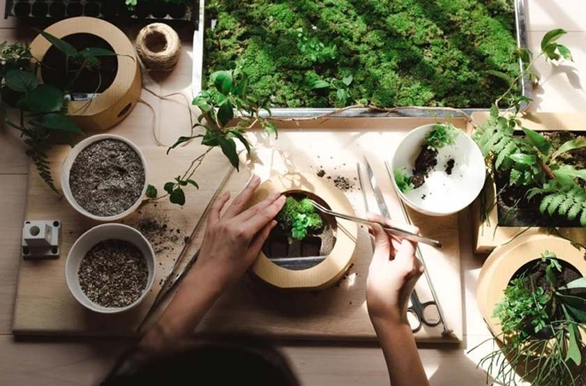 Modern gardening turut dapat meningkatkan pengetahuan agro anda!.
