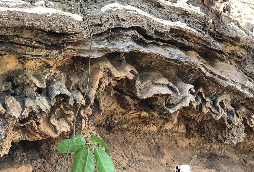 Formasi batuan unik yang terdapat di sekitar kawasan Lenggong. - Foto: JMG