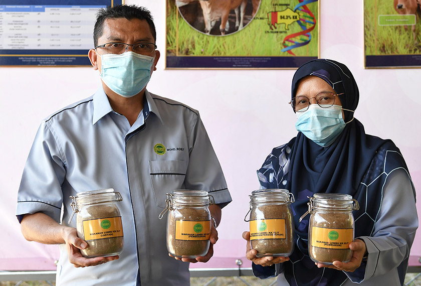 Pegawai Penyelidik Institut Penyelidikan dan Kemajuan Pertanian Malaysia (MARDI) Serdang, Mohd Rosly Shaari (kiri) dan Pegawai Penyelidik MARDI Kemaman, Dr Marini Ahmad Marzuki menunjukkan formulasi makanan lembu pedaging yang dihasilkan pada Pelancaran Formulasi Makanan Ternakan bagi Lembu Kedah Kelantan Elit dan Manual Teknologi Pengeluaran Lembu Pedaging Kedah Kelantan Elit di MARDI Kemaman semalam. - BERNAMA