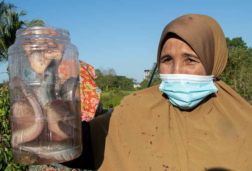 Faridah Jaapar menunjukkan ikan yang berjaya ditangkap pada pertandingan memancing secara tradisional di tali air sawah kampung Bukit Kechik. - Foto BERNAMA