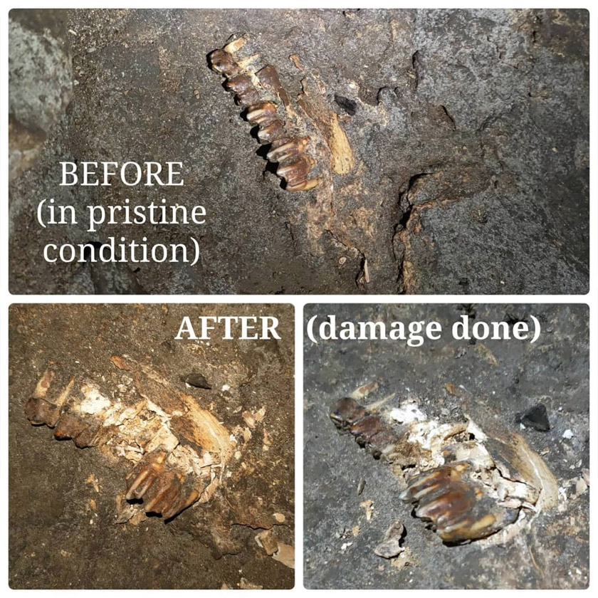 Beliau juga tidak menolak kemungkinan bahawa perkara seperti ditularkan itu berlaku pada luar kawalan syarikat produksi itu. - Foto ihsan pembaca