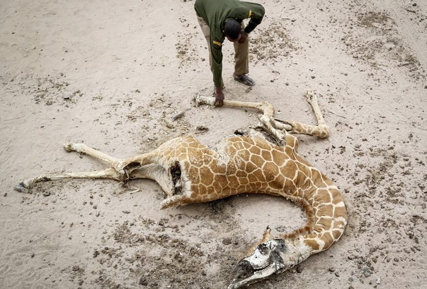 Foto: AP /Brian Inganga