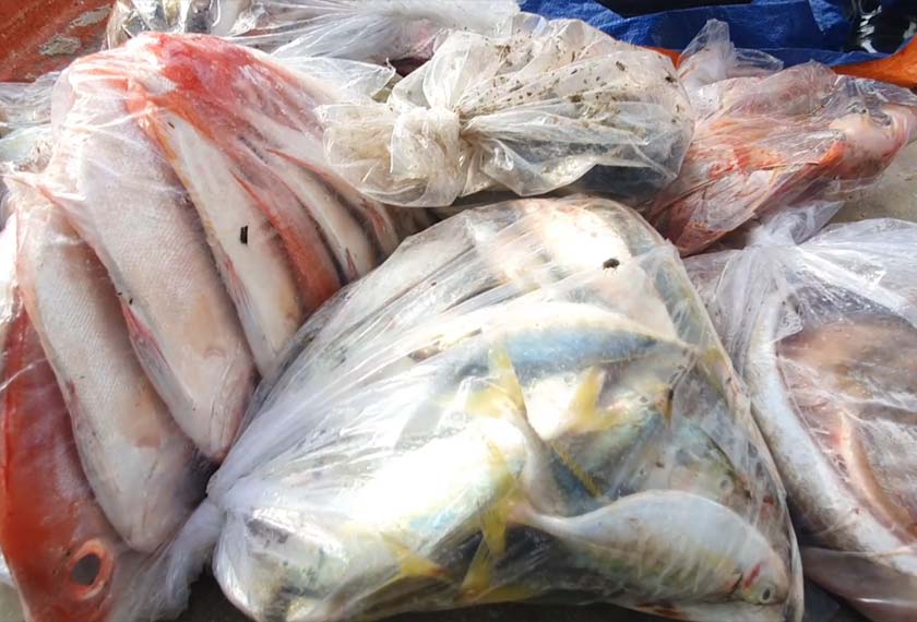 Hasil rampasan termasuk 500 kilogram ikan pelbagai jenis. - Foto Astro AWANI