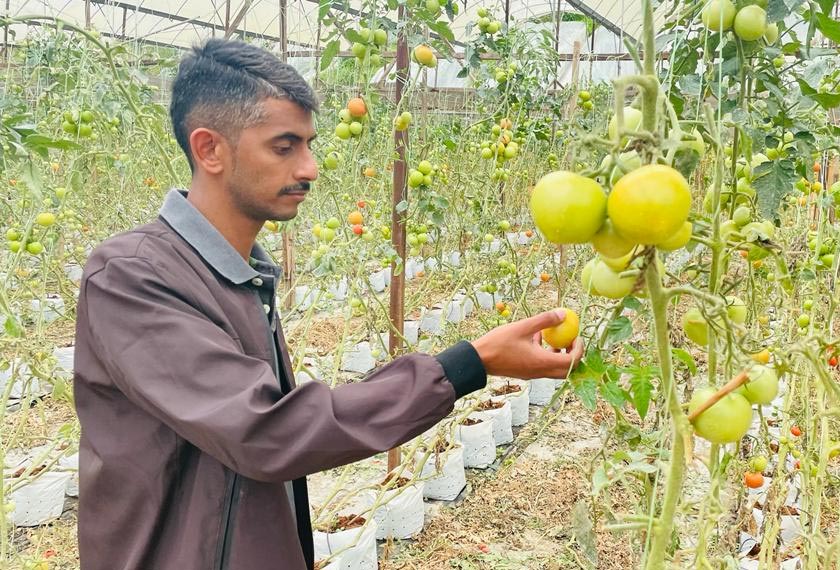 S. Madhan berkata pihaknya membuka tawaran kerja kepada warga tempatan, namun tidak mendapat sambutan.