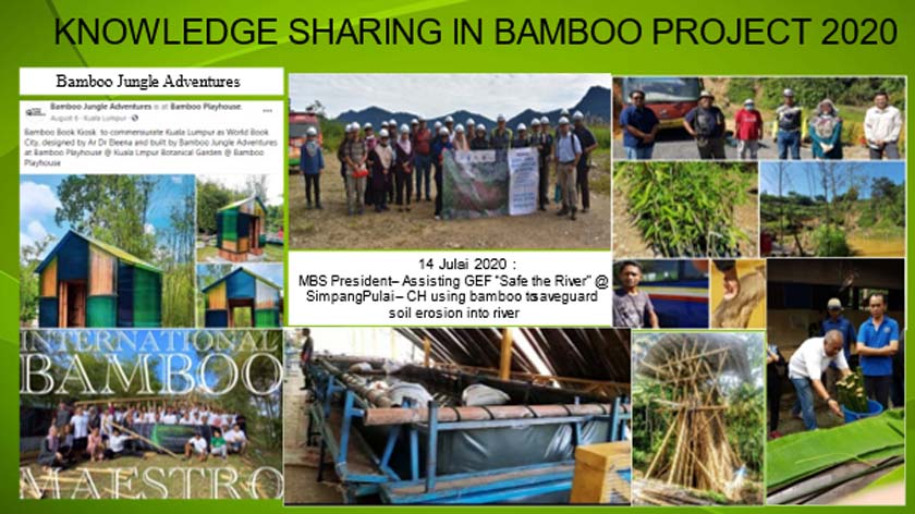 World Bamboo Day 2021