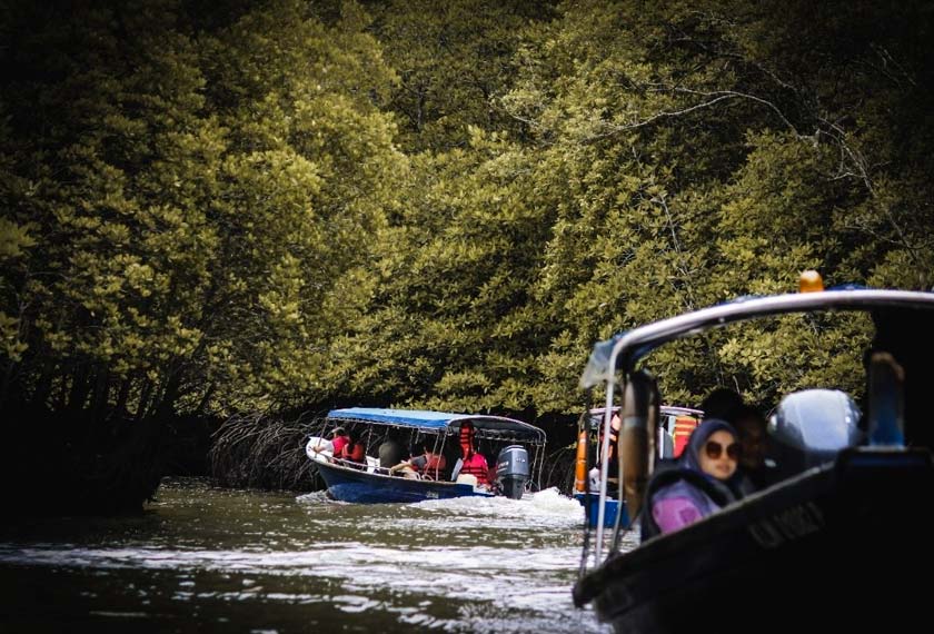 Anda boleh menyaksikan burung helang berterbangan di atas anda ketika tour di Tanjung Rhu.