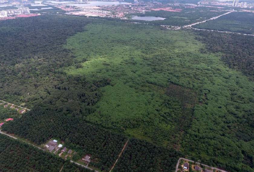 Keadaan kawasan HSKLU yang dinyahwarta. - Foto Jabatan Perhutanan Selangor