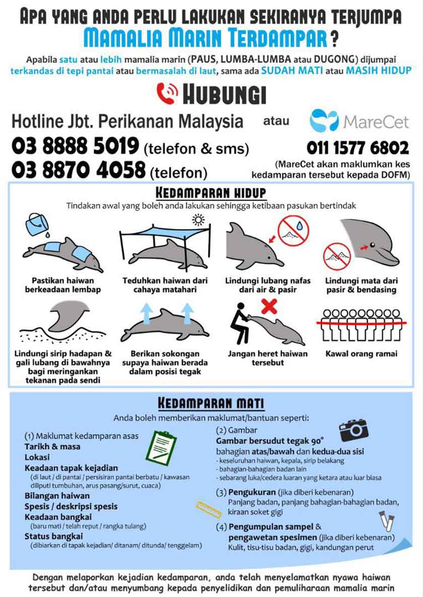 Sumber: Facebook Perlis Nature and Wildlife